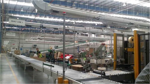 羊毛變金子 探訪澳洲最神秘工廠，揭秘世界頂尖羊毛加工技術轉讓之路